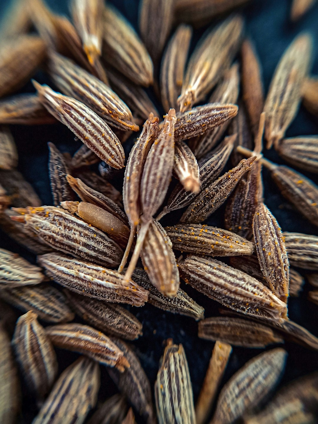 10. Cumin Seeds: The Digestive Dynamo (image credits: unsplash)