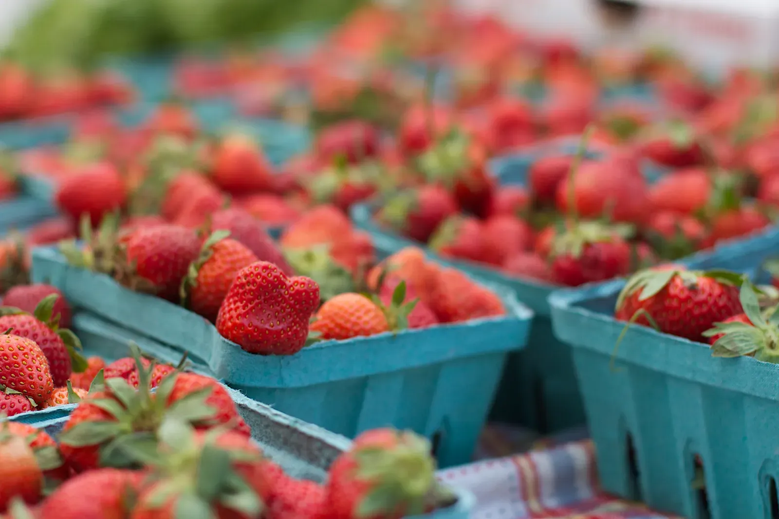 The Real Cost of That Twenty Dollar Strawberry (Image Credits: Wikimedia)