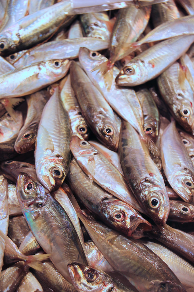 The Overlooked Treasure: Sprats (image credits: flickr)