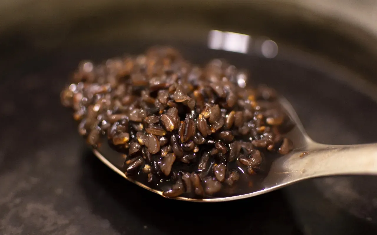 Leo: Forbidden Black Rice (Image Credits: Pixabay)