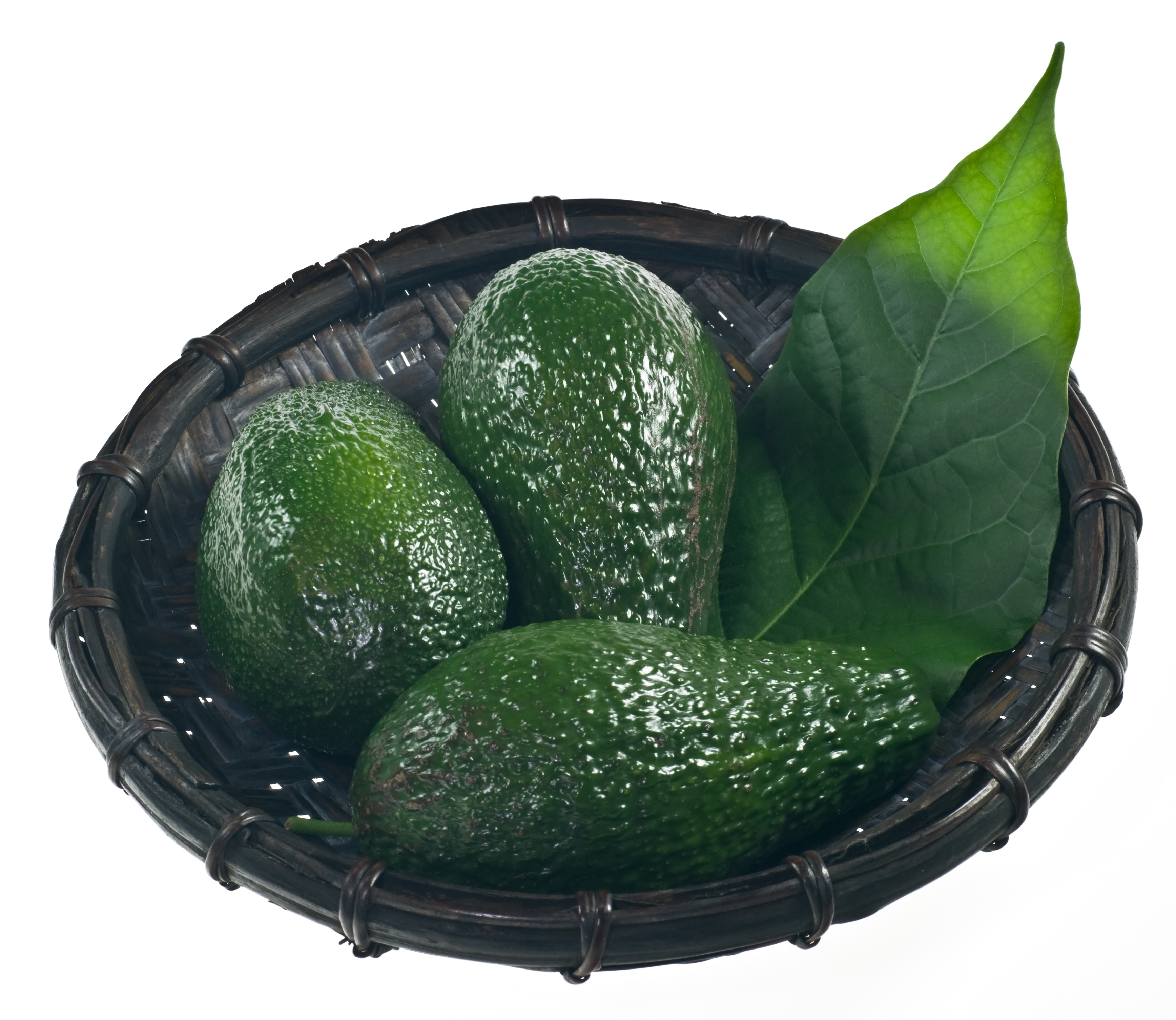 Avocados (image credits: wikimedia)