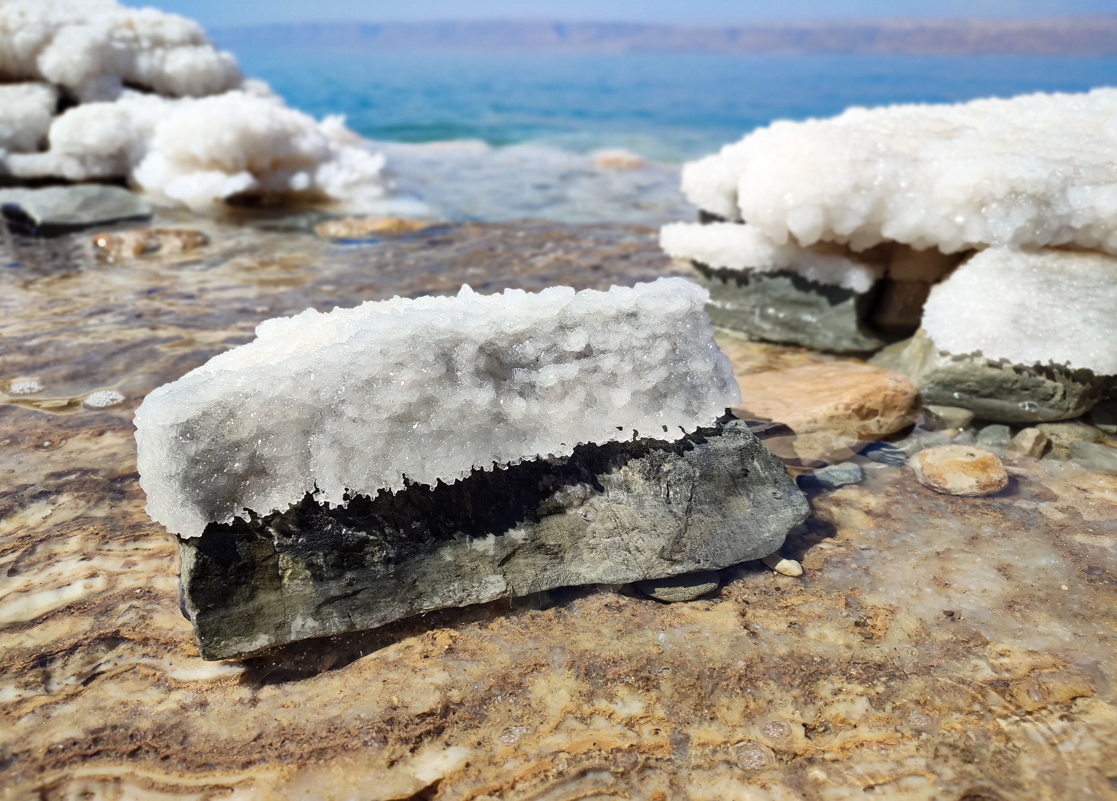 Flavor and Cooking: Why Chefs Love Sea Salt (image credits: wikimedia)