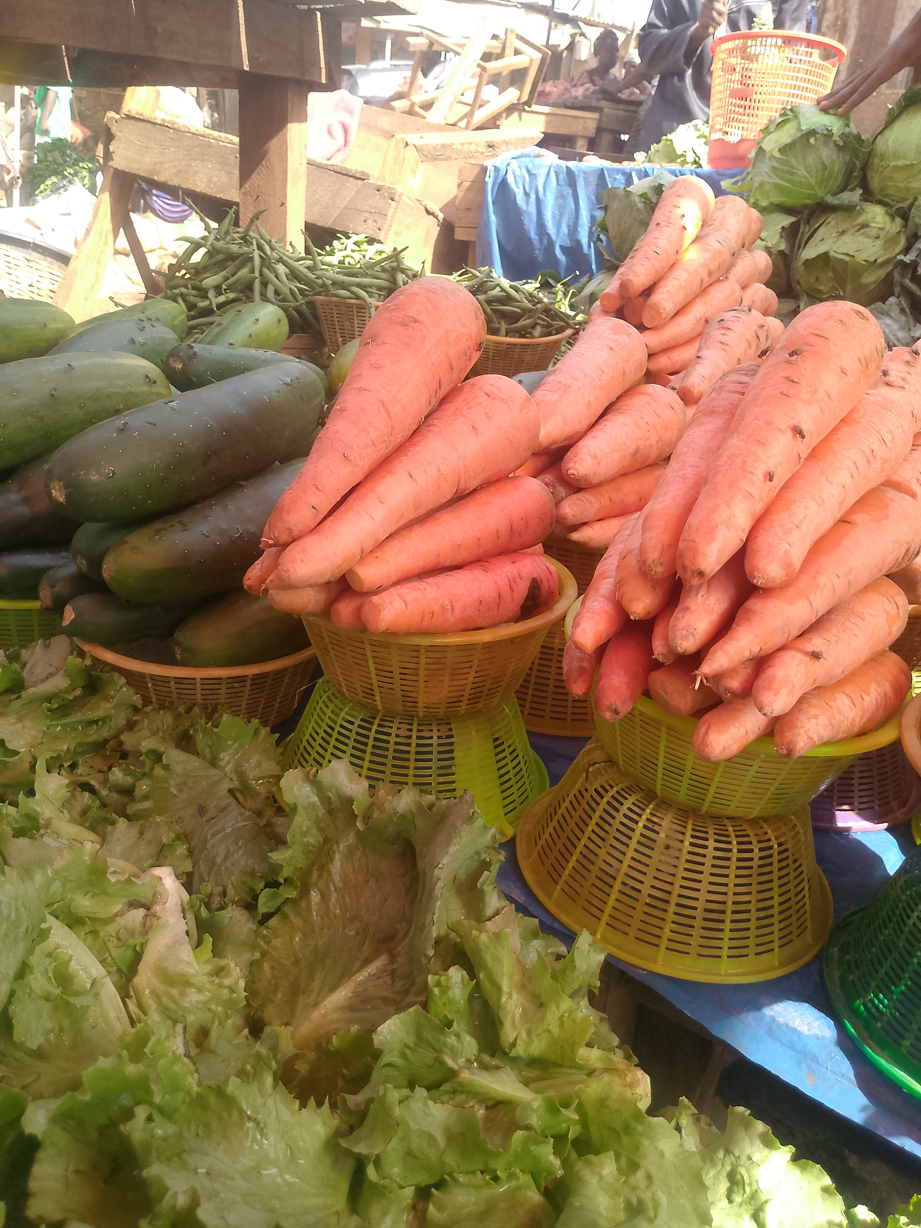 Carrots (image credits: wikimedia)