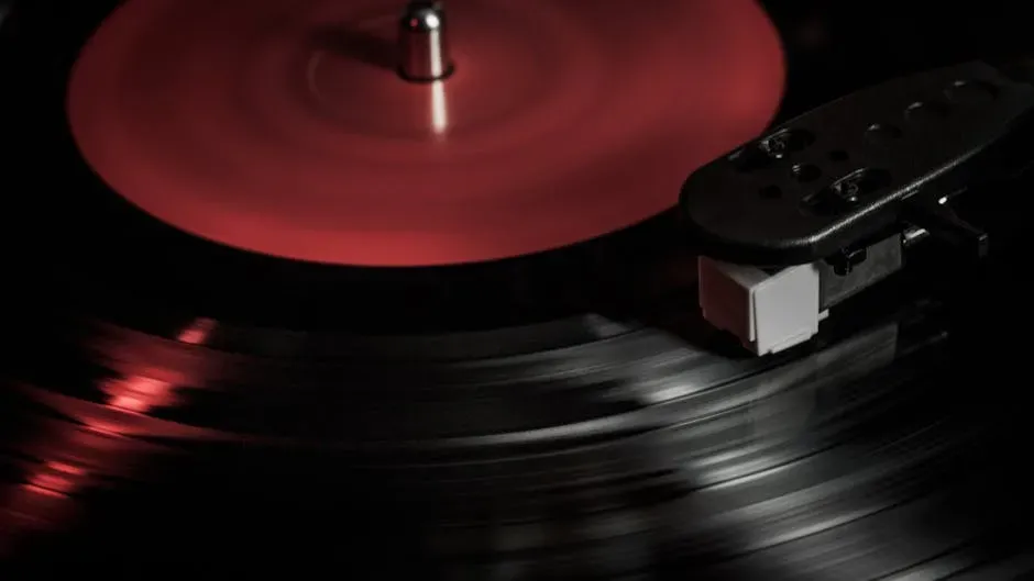 2. Slow Music That Slows Your Wallet Too (Image Credits: Pexels)