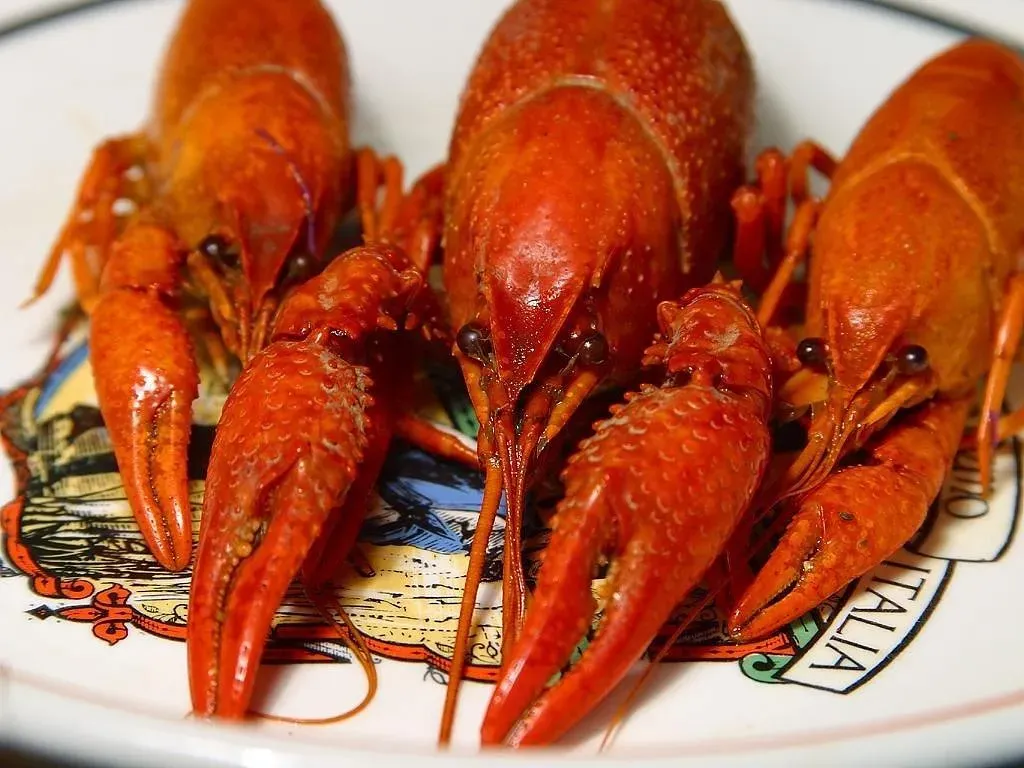 Lobster: From Cockroach of the Sea to Coastal Luxury (Image Credits: Pixabay)