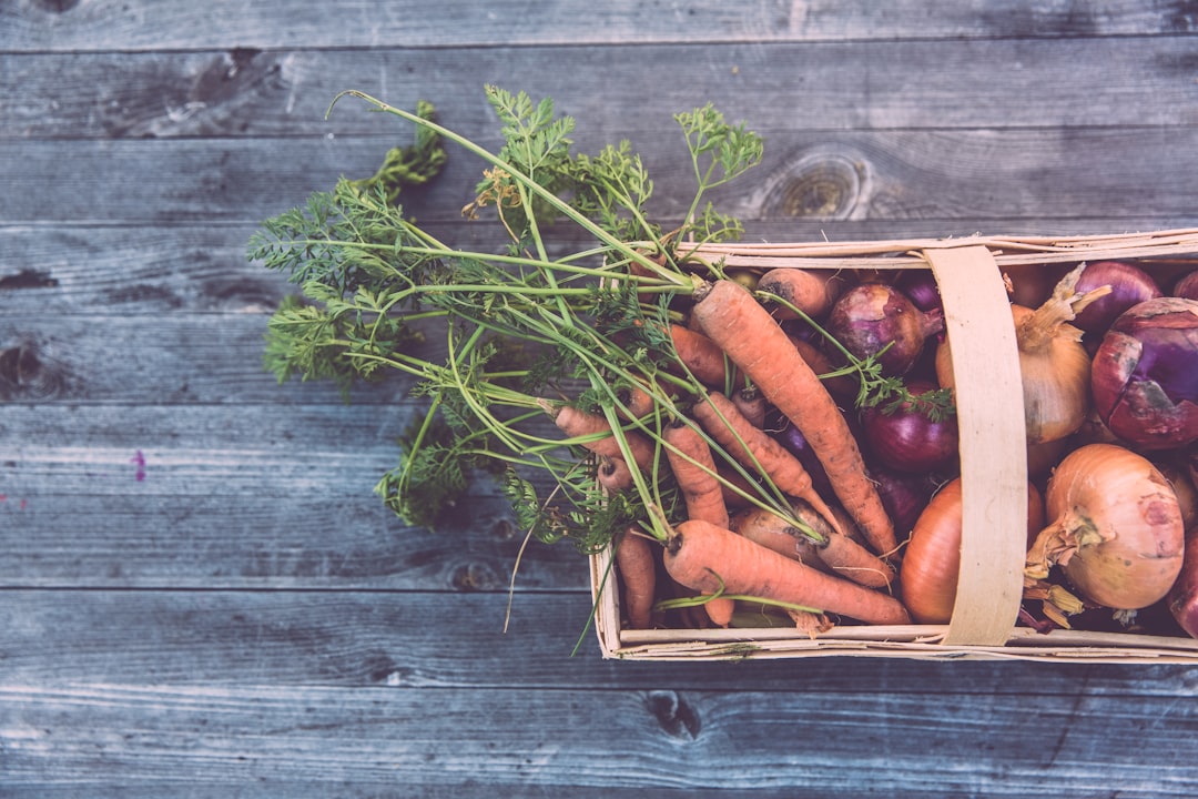 Environmental Impact of Plant-Based Diets (image credits: unsplash)