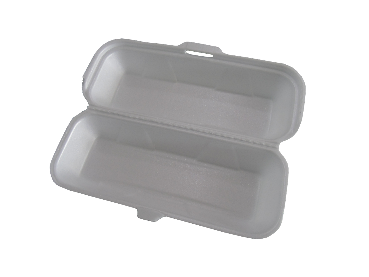 The Risks of Styrofoam (image credits: pixabay)
