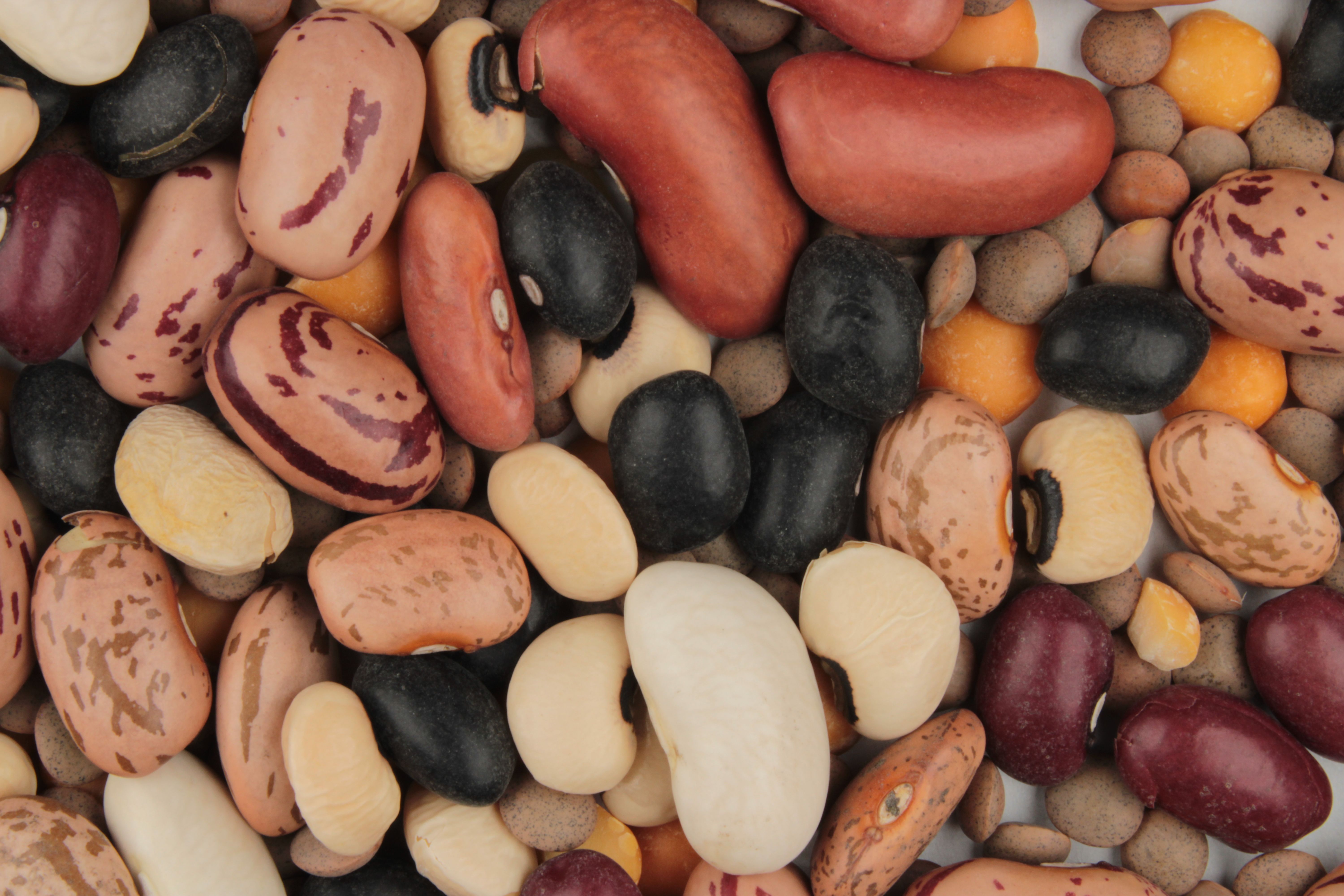 Split Peas and Lentils: Protein-Rich Pulses Step Into the Spotlight (image credits: wikimedia)