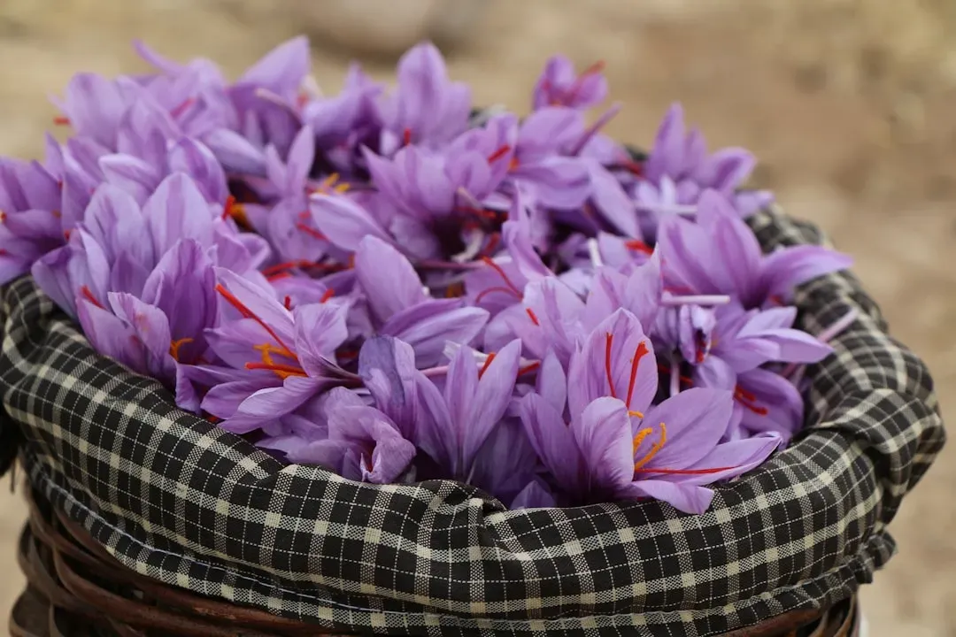 The Two-Week Window That Changes Everything (Image Credits: Unsplash)