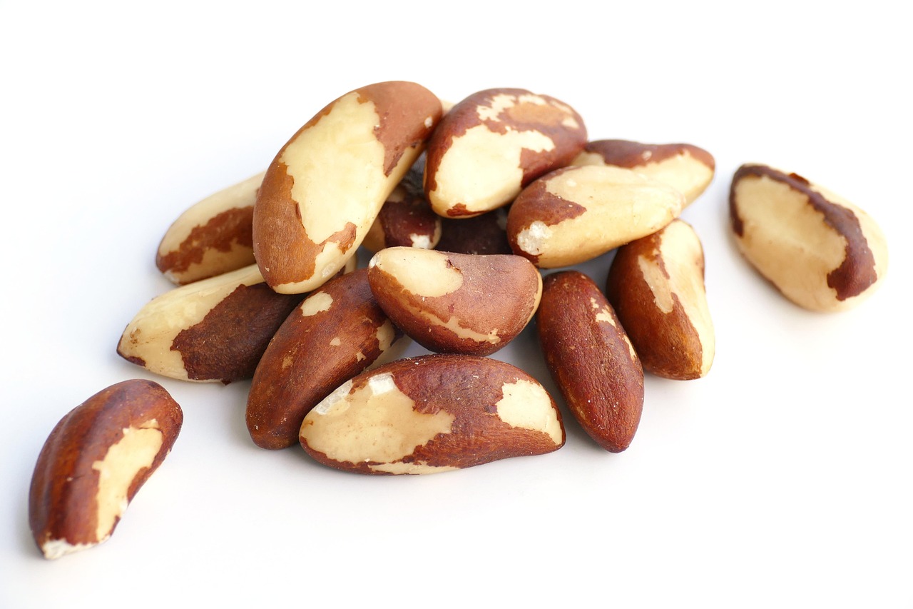Brazil Nuts: Selenium Superstars (image credits: pixabay)