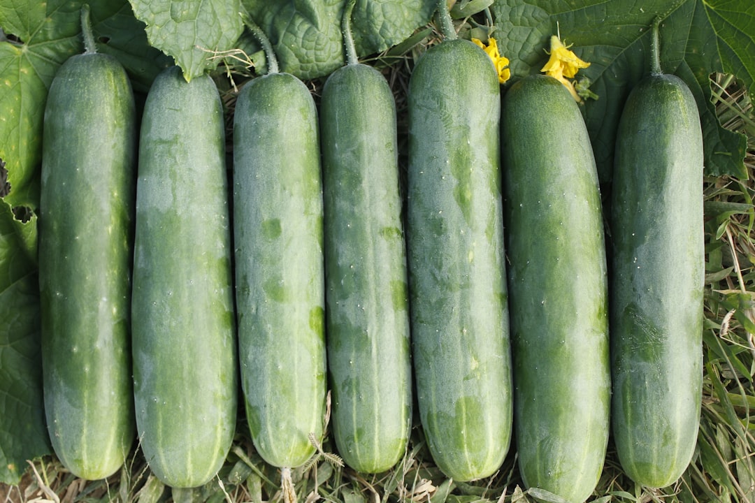 Cucumbers and Melons: The Soft Spot Nightmare (image credits: unsplash)