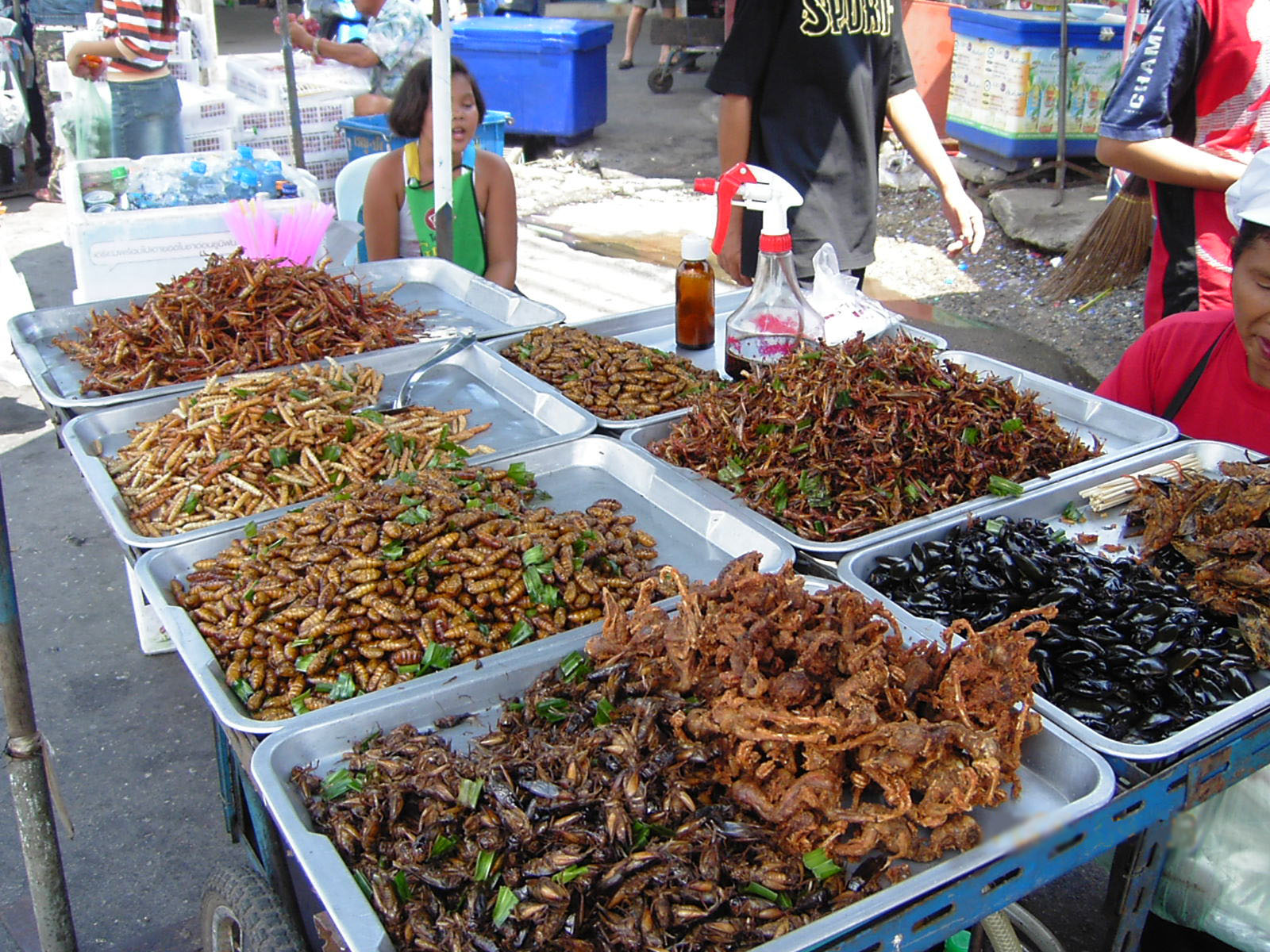 The Future Menu: What’s Next for Edible Insects? (image credits: wikimedia)