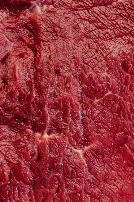The Protein Science Behind Muscle Fiber Contraction (Image Credits: Pexels)