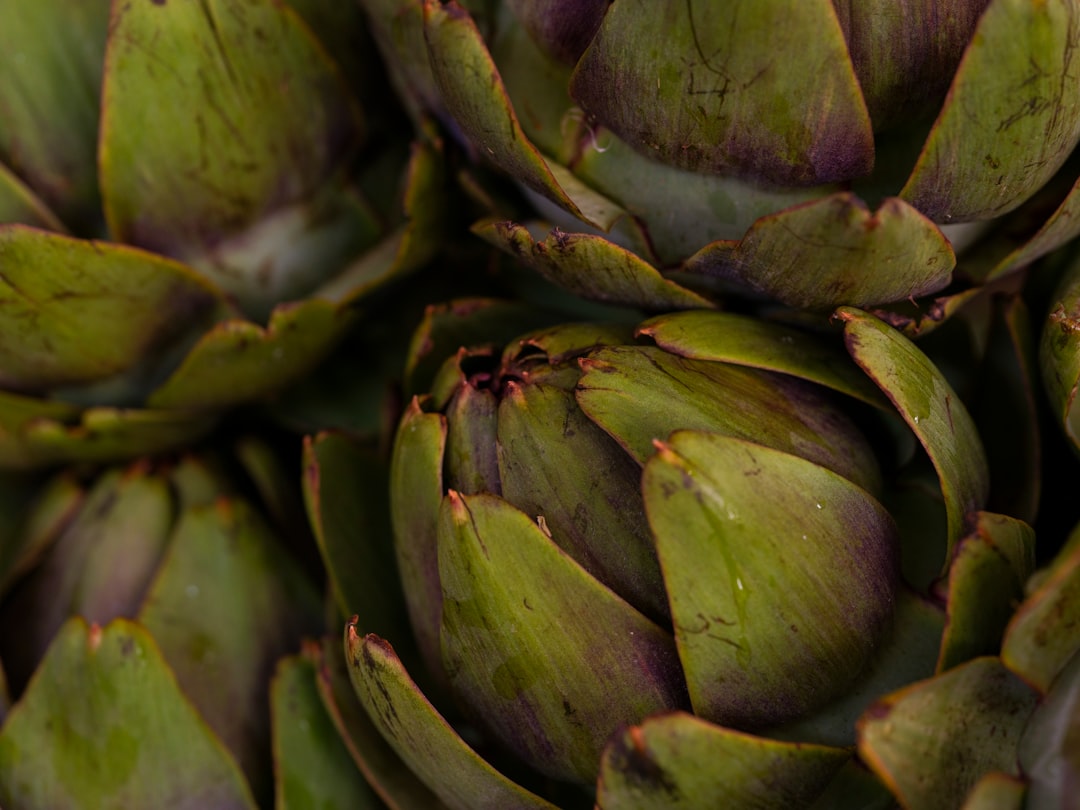Artichokes (Liver’s Best Friend) (image credits: unsplash)