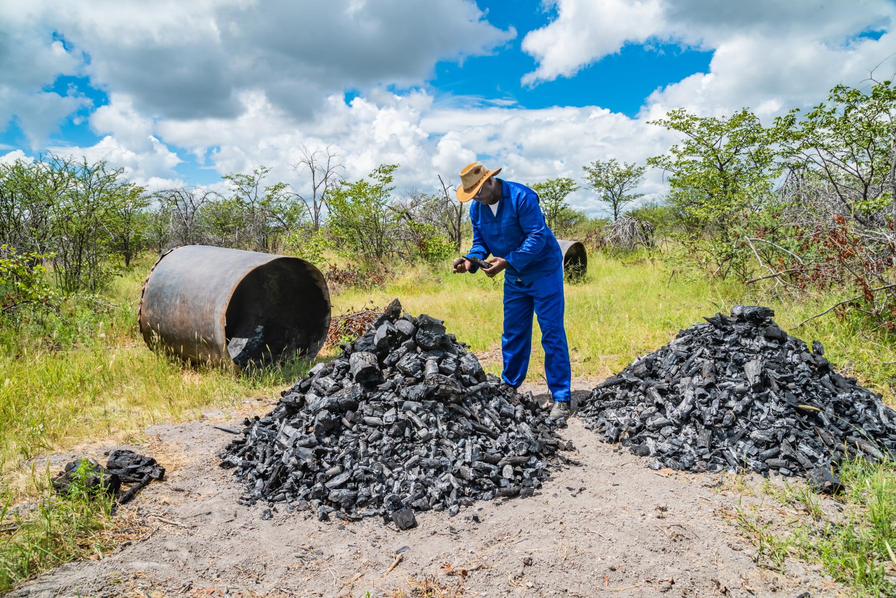 The Environmental Impact of Charcoal Production (image credits: wikimedia)