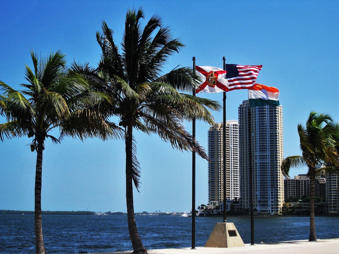 The Show Recently Moved to Miami (image credits: pixabay)