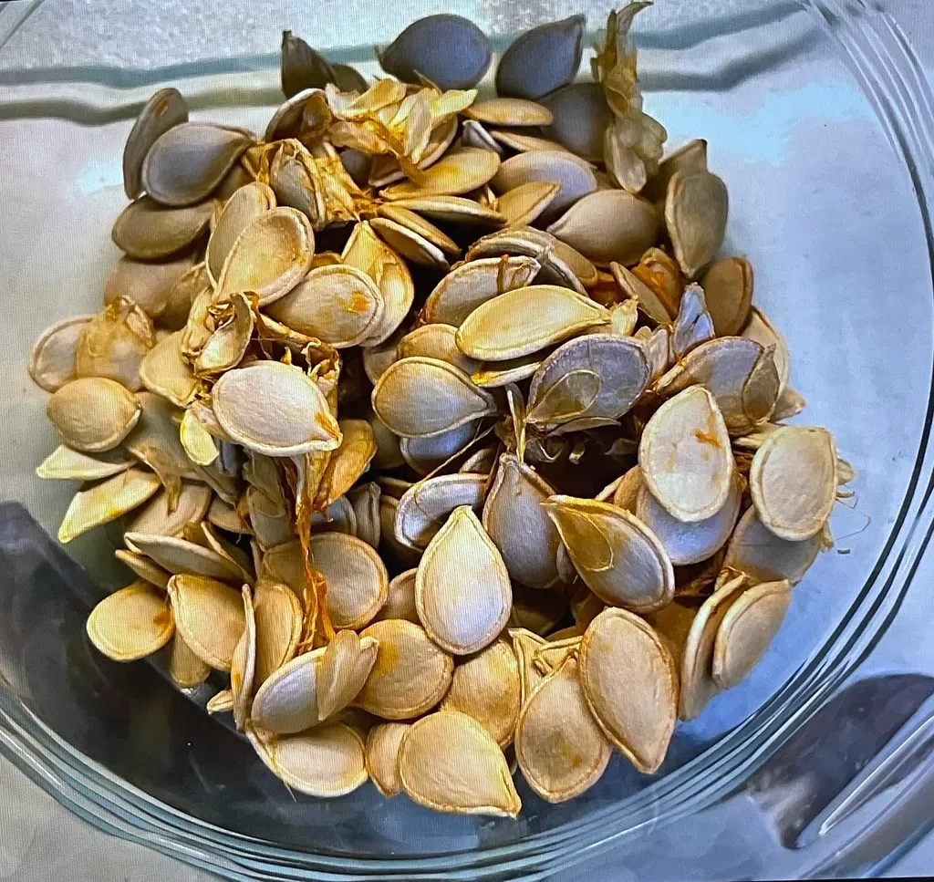 Freeze-Drying: The Cornerstone Technology (Chic Bee, Flickr, CC BY 2.0)