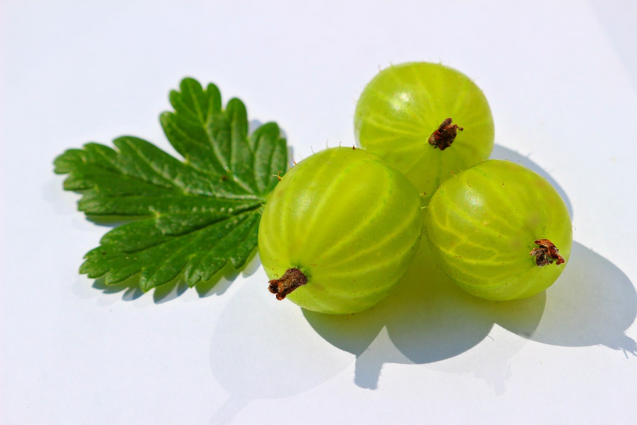 Gooseberries - The Forgotten Gems of Summer Baking (image credits: pixabay)