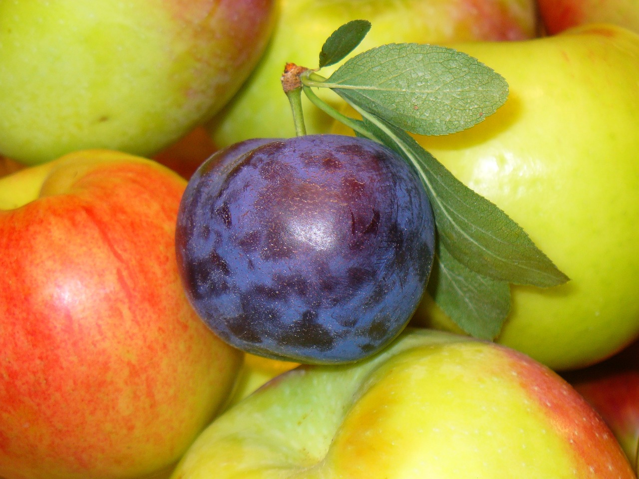 Prunes: Sweet, Surprising Heart Helper (image credits: pixabay)