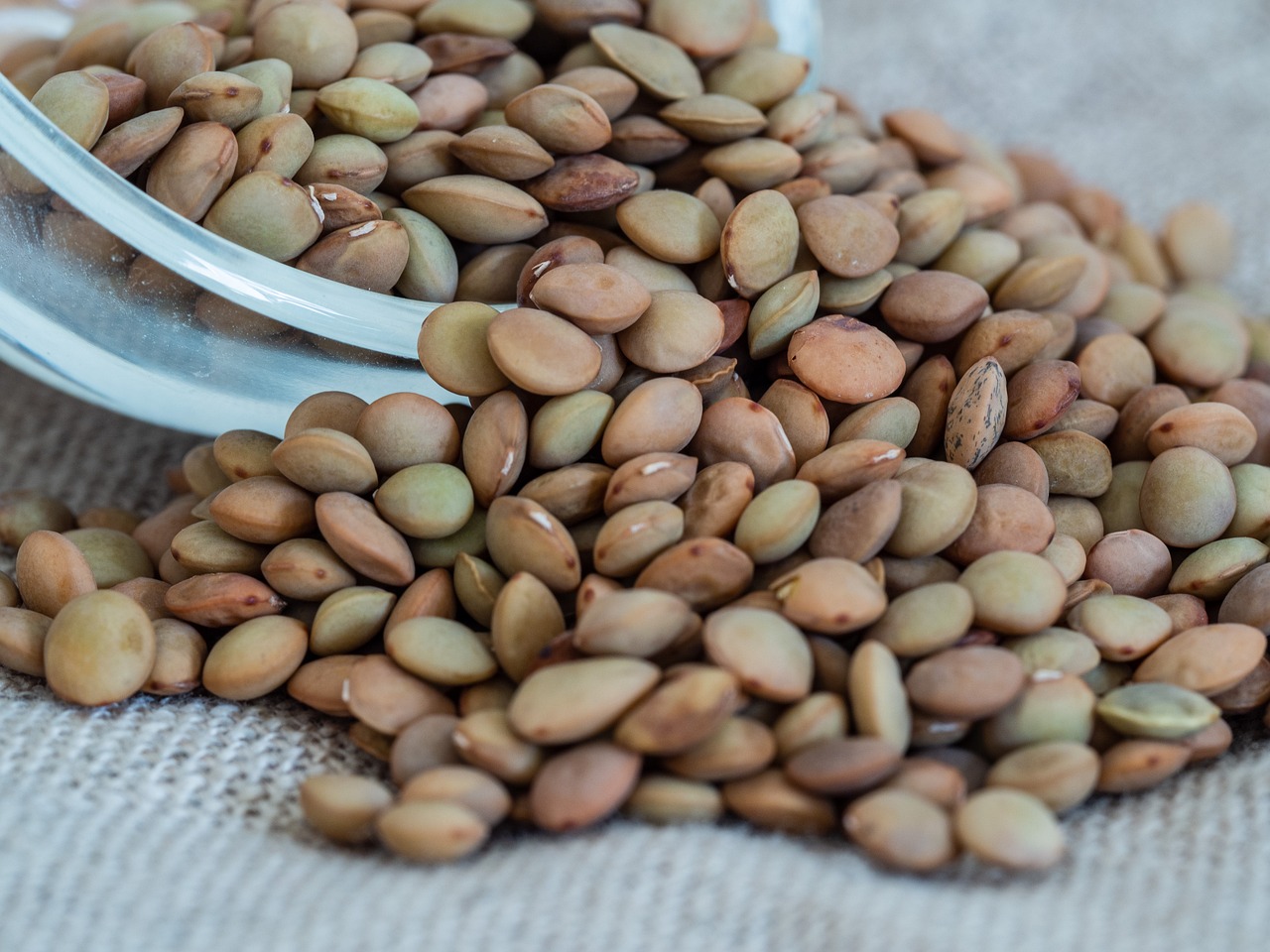Nutritional Benefits of Lentils (image credits: pixabay)