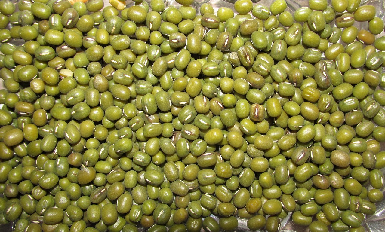Legumes: Beans and Lentils as Folate-Rich Hair Saviors (image credits: pixabay)