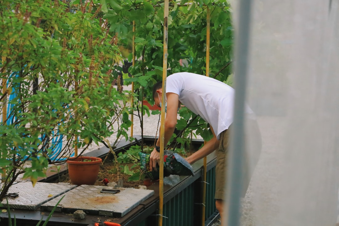 Urban Farming and City Food Movements (image credits: unsplash)
