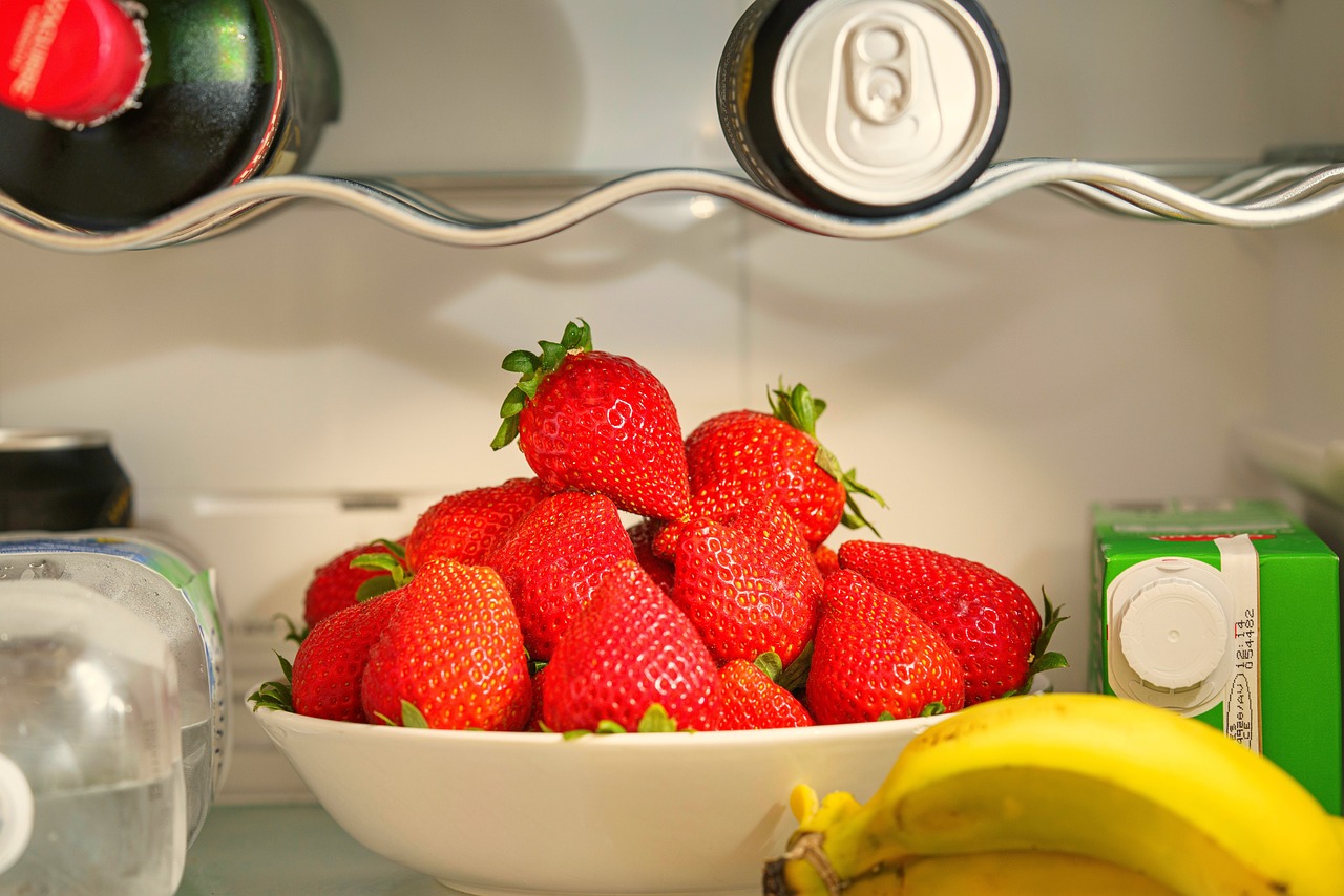 Leaving Food Out Too Long (image credits: pixabay)
