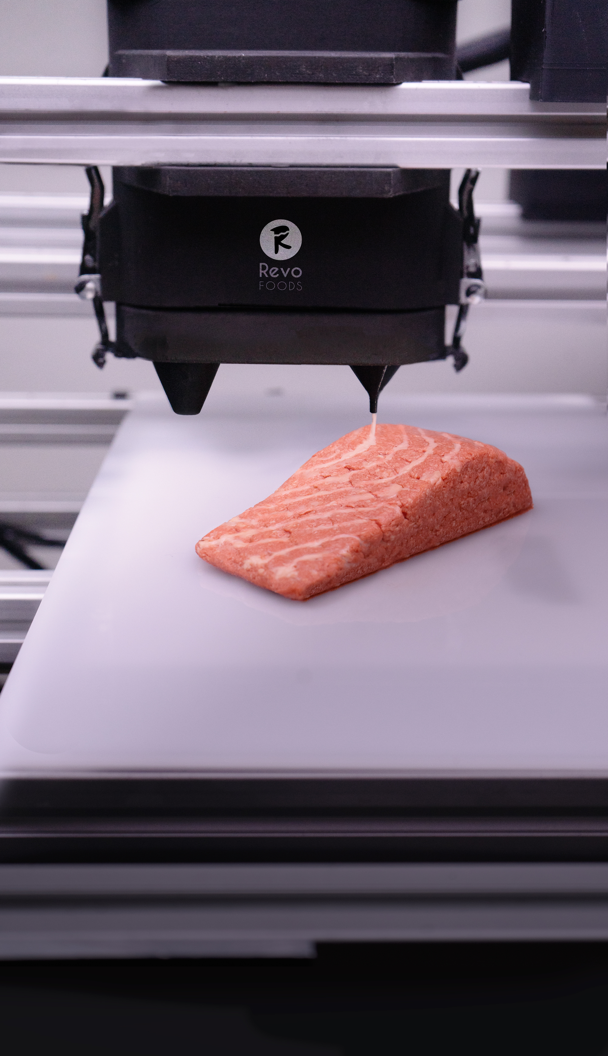 3D Printing: The Next Frontier for Personalized Space Food (image credits: wikimedia)
