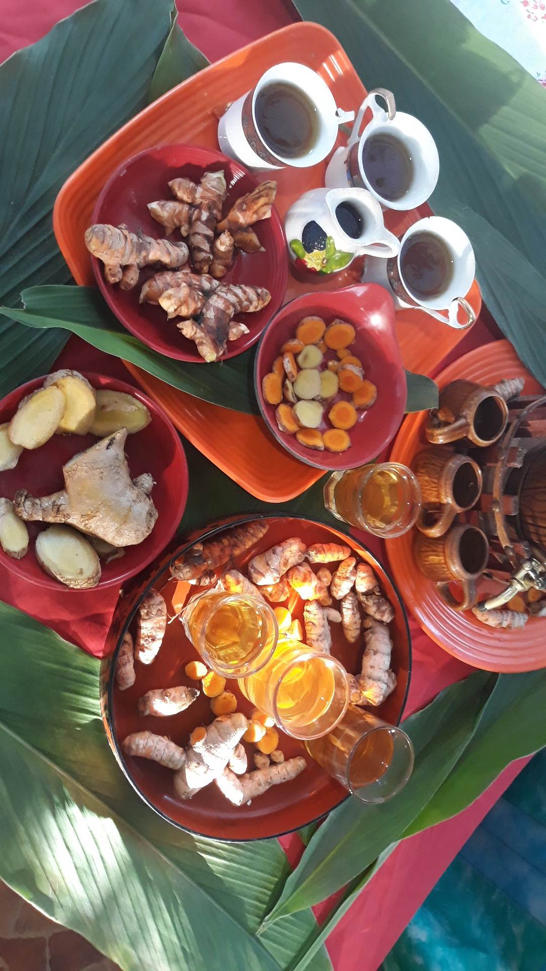 The Anti-Inflammatory Duo (image credits: wikimedia)