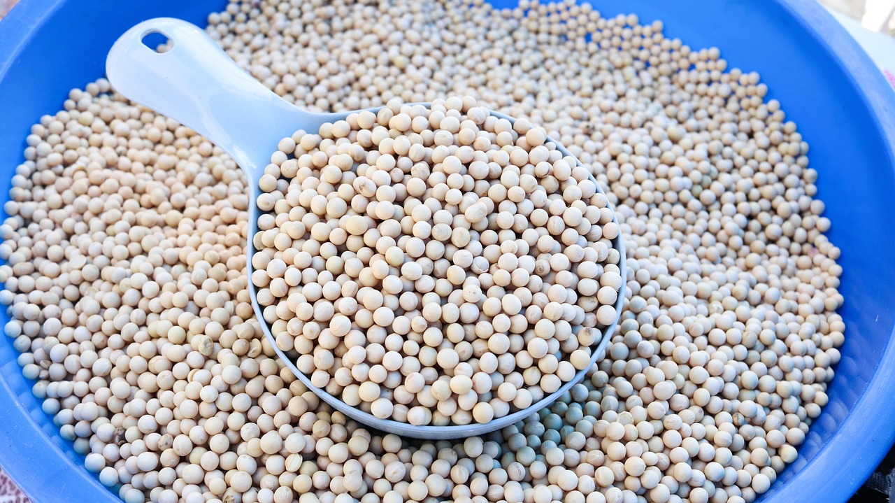 Tofu & Soybeans (image credits: pixabay)