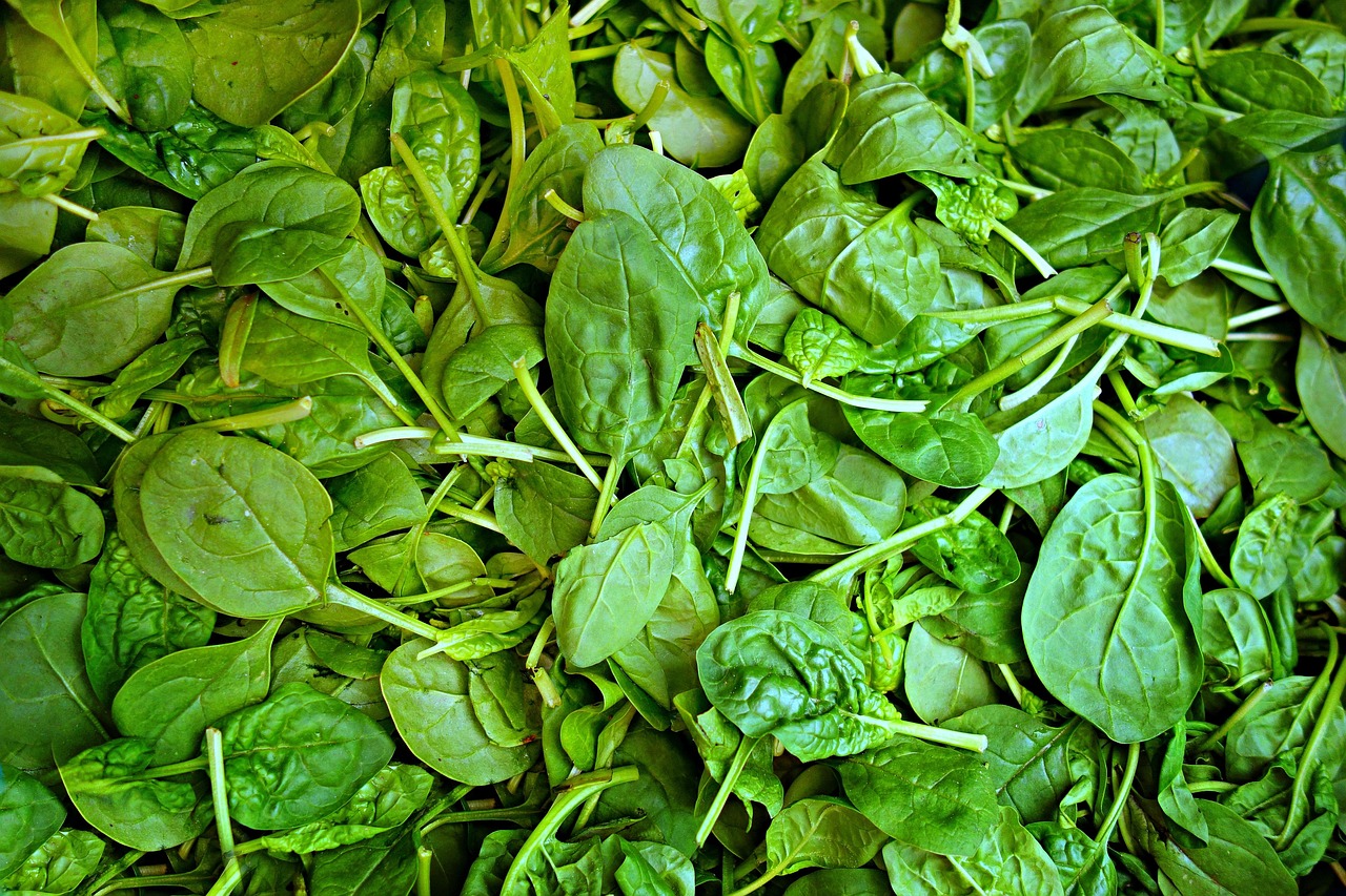 Spinach: The Iron Powerhouse (image credits: pixabay)