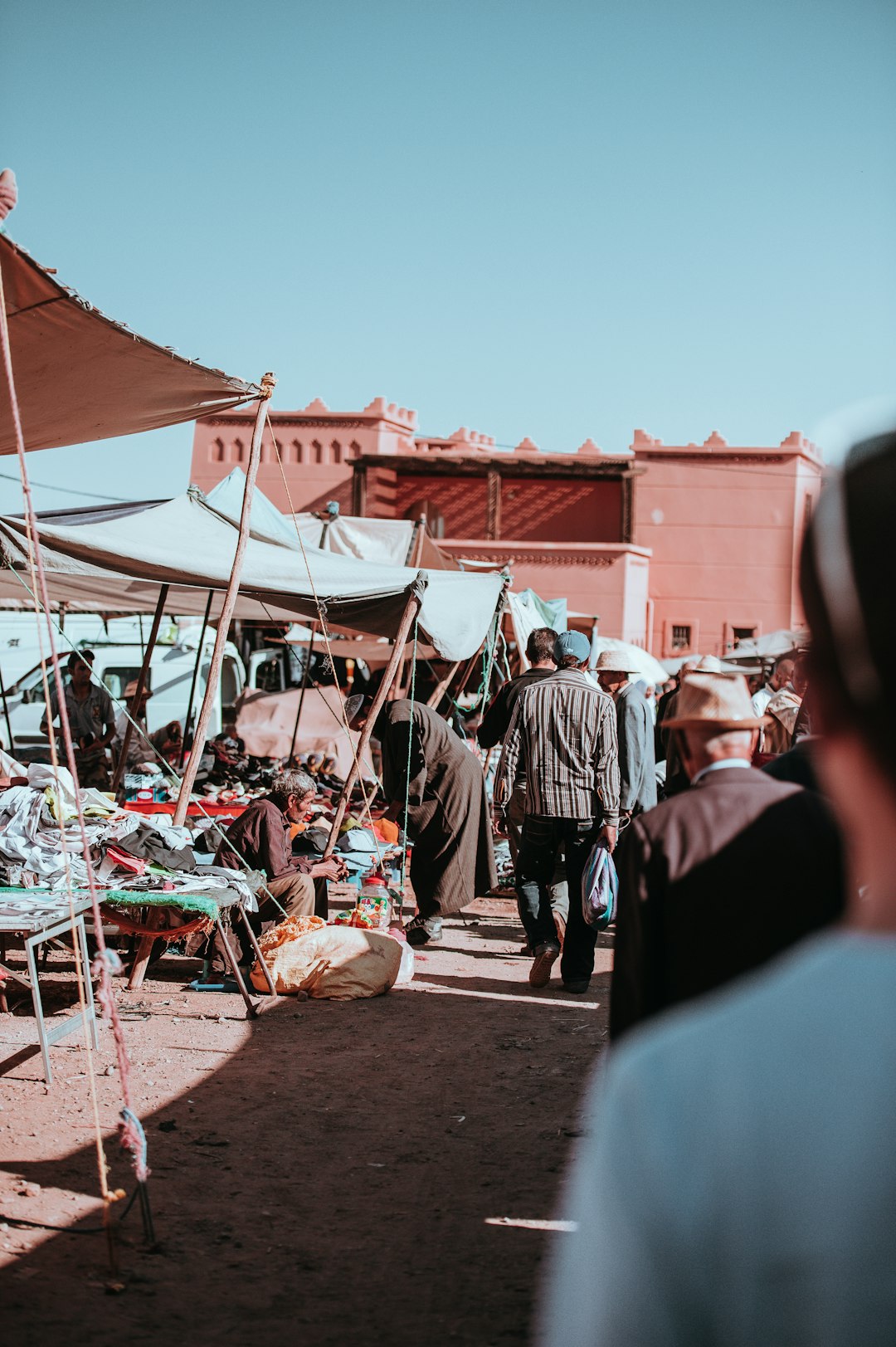 The Global Vanilla Market (image credits: unsplash)
