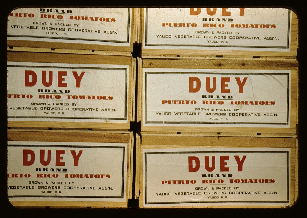 Smart Swaps: Substitutes for Fresh Tomatoes (image credits: wikimedia)