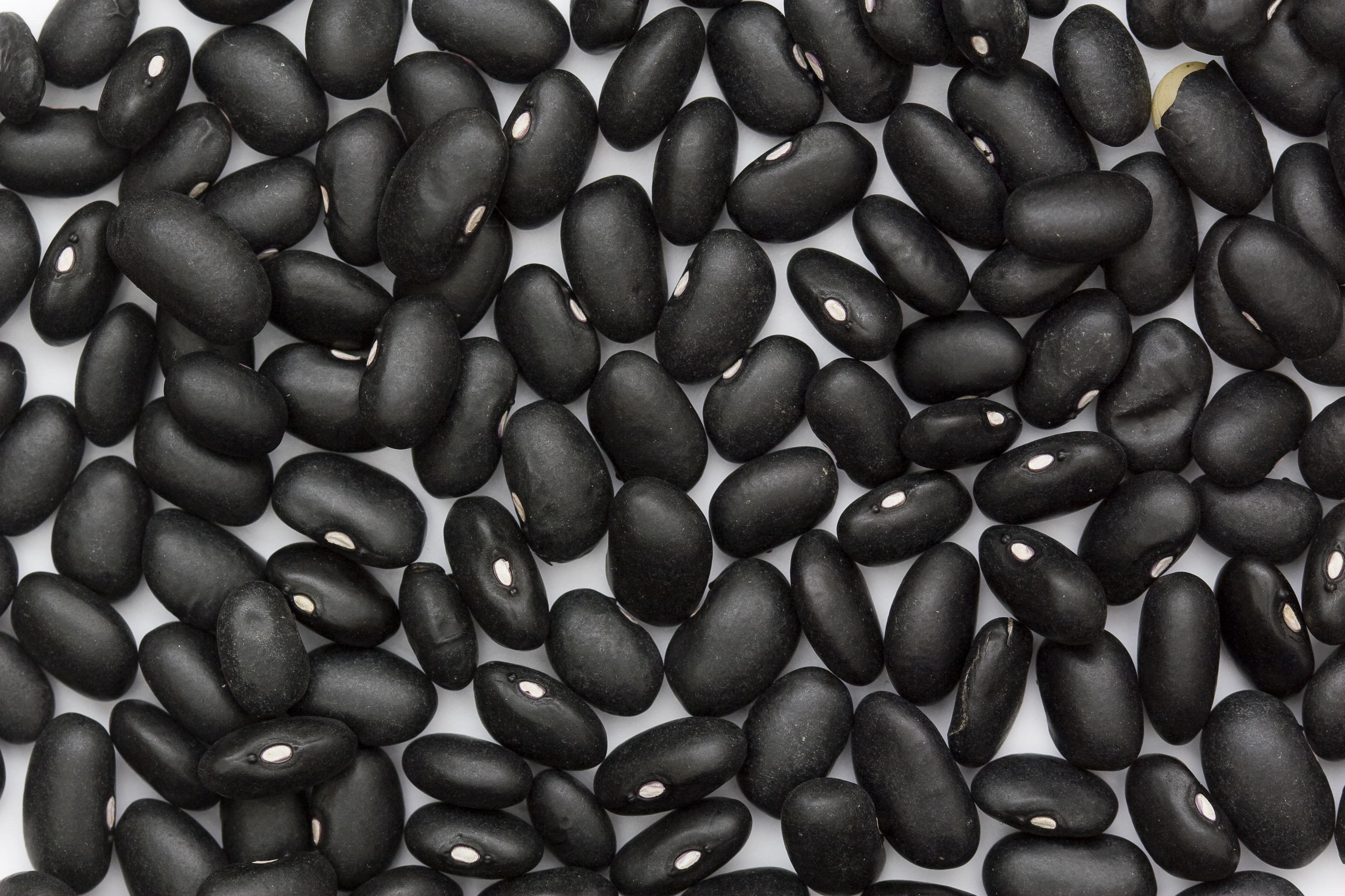 The Fiber Champion Hiding in Your Pantry (image credits: wikimedia)