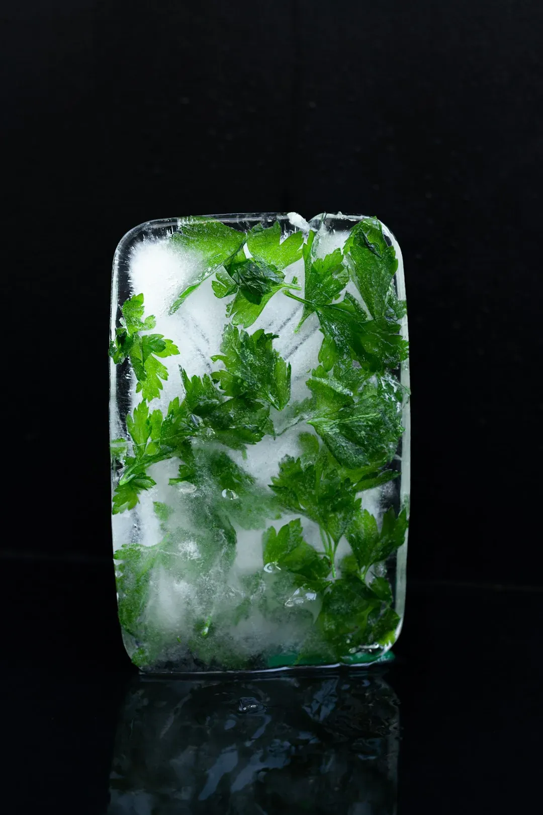 Herbs Frozen in Ice Cube Trays (Image Credits: Unsplash)