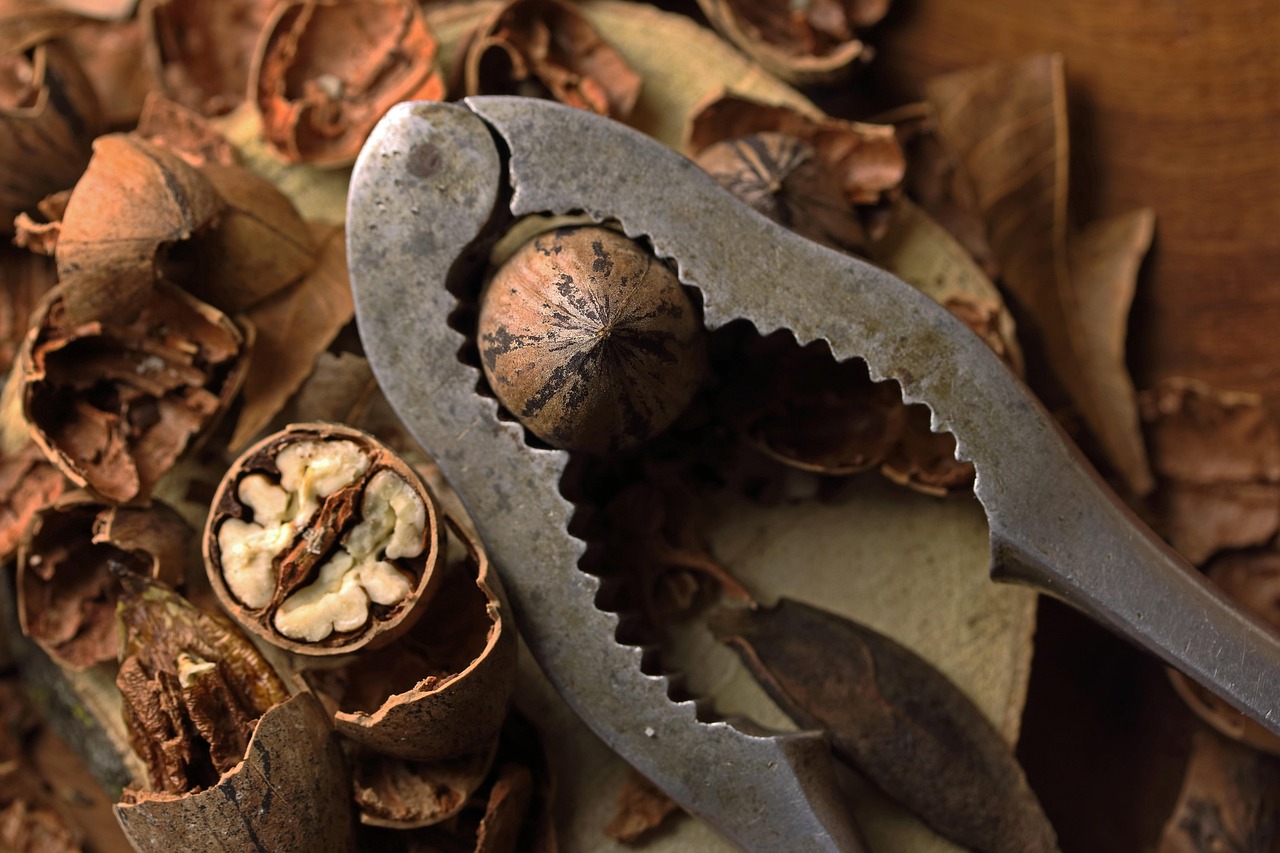 Nuts and Seeds: Crunchy Calcium Options (image credits: pixabay)