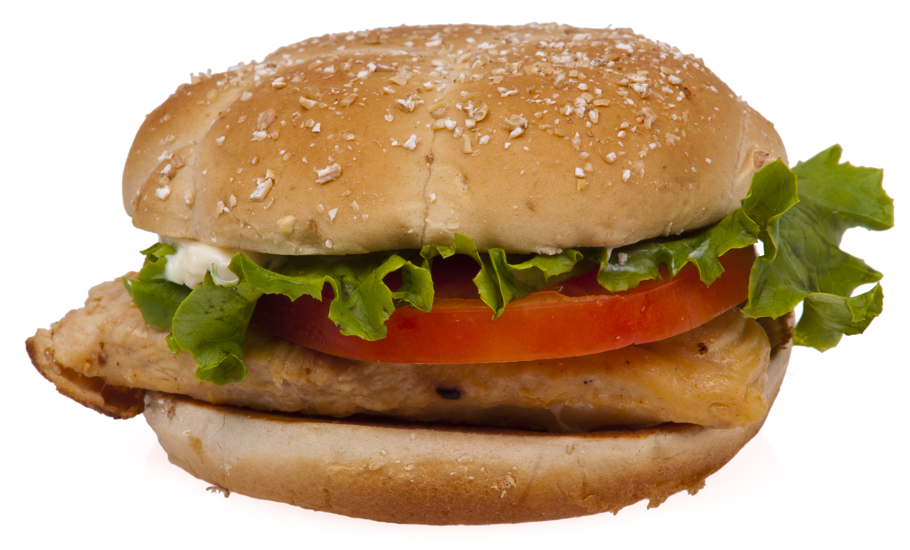 Grilled Chicken Sandwich from Chick-fil-A (image credits: wikimedia)