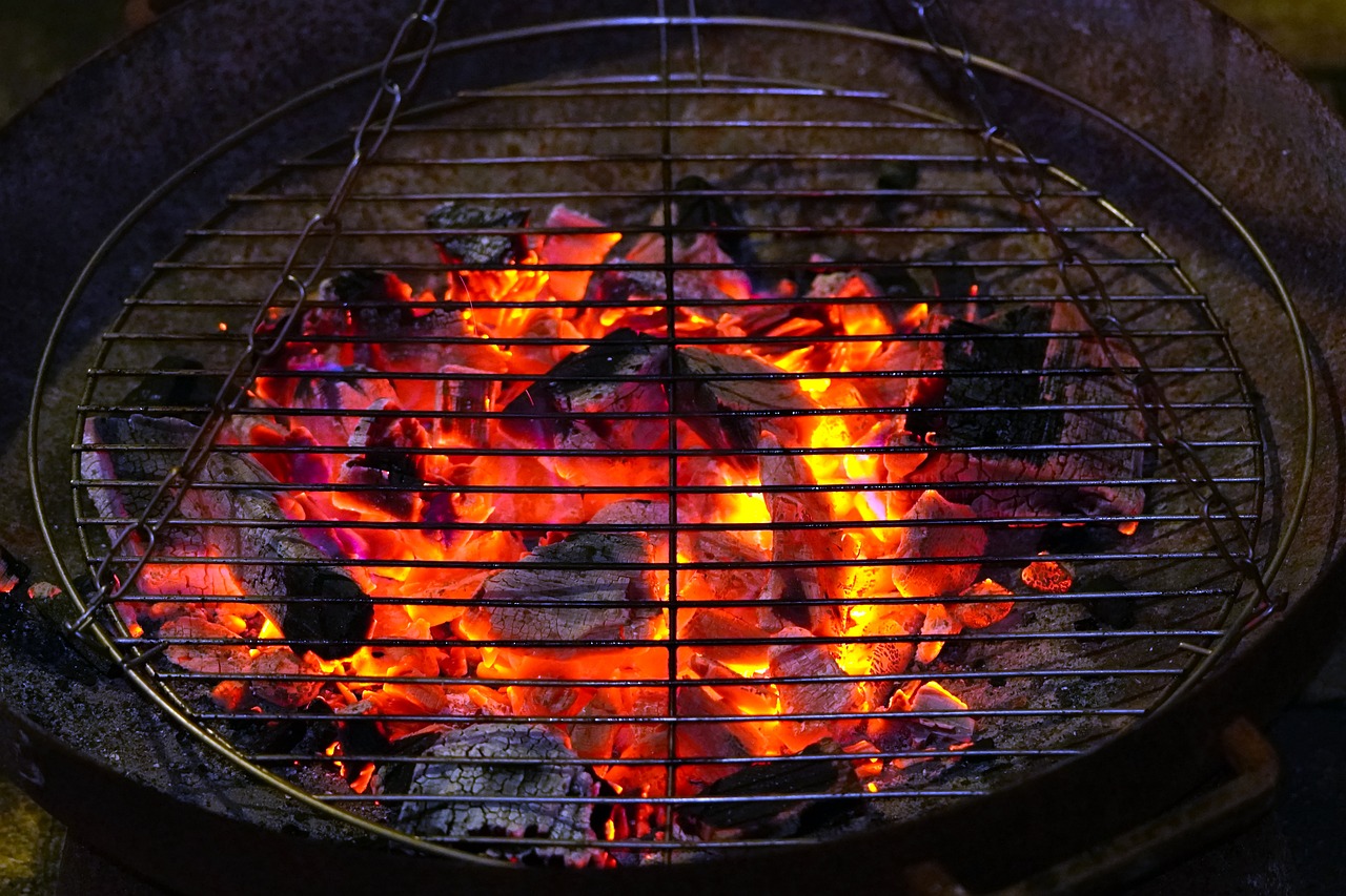 Choosing the Right Grill (image credits: pixabay)