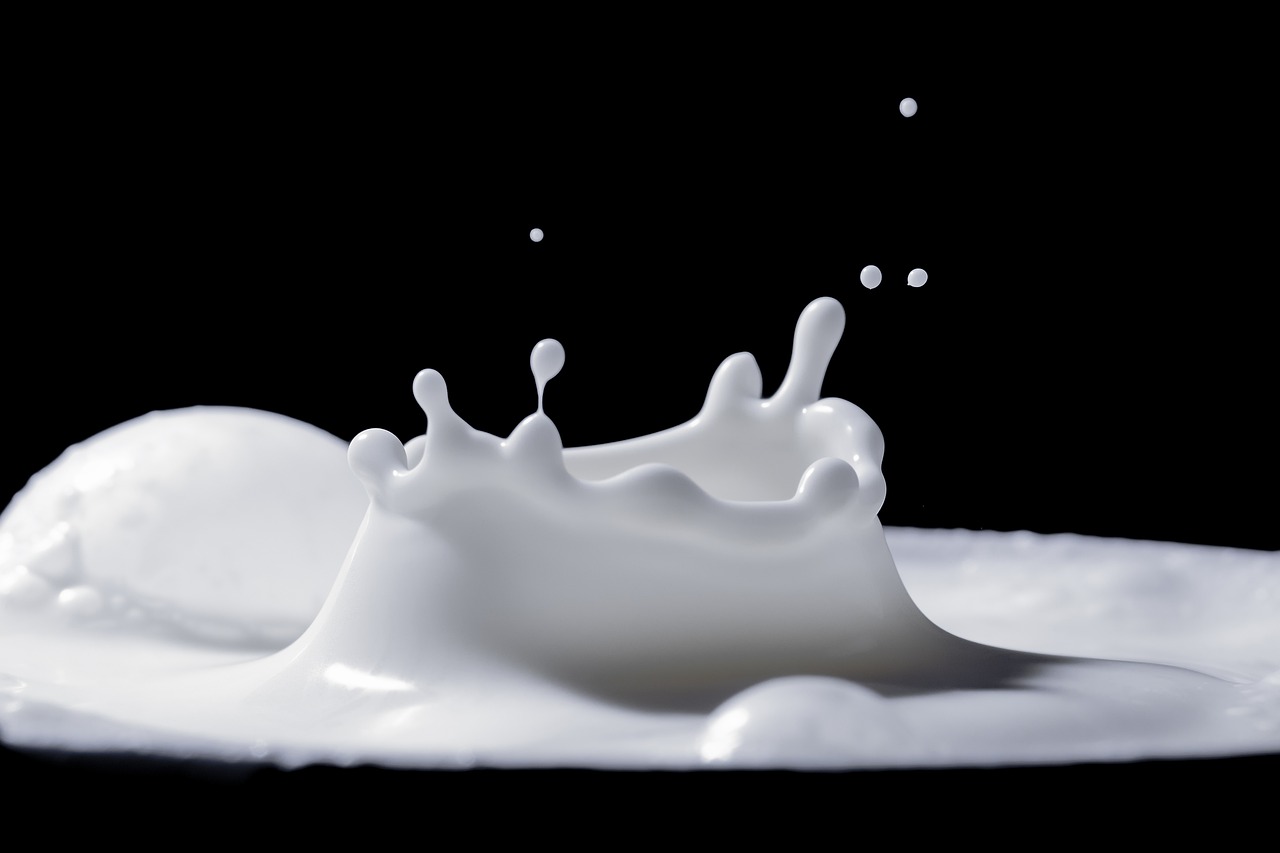Fortified Plant Milks: A Dairy-Free Delight (image credits: pixabay)