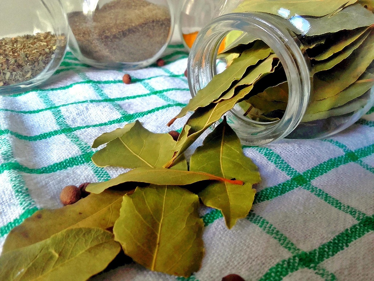 Bay Leaves - The Secret Flavor Builder (image credits: pixabay)