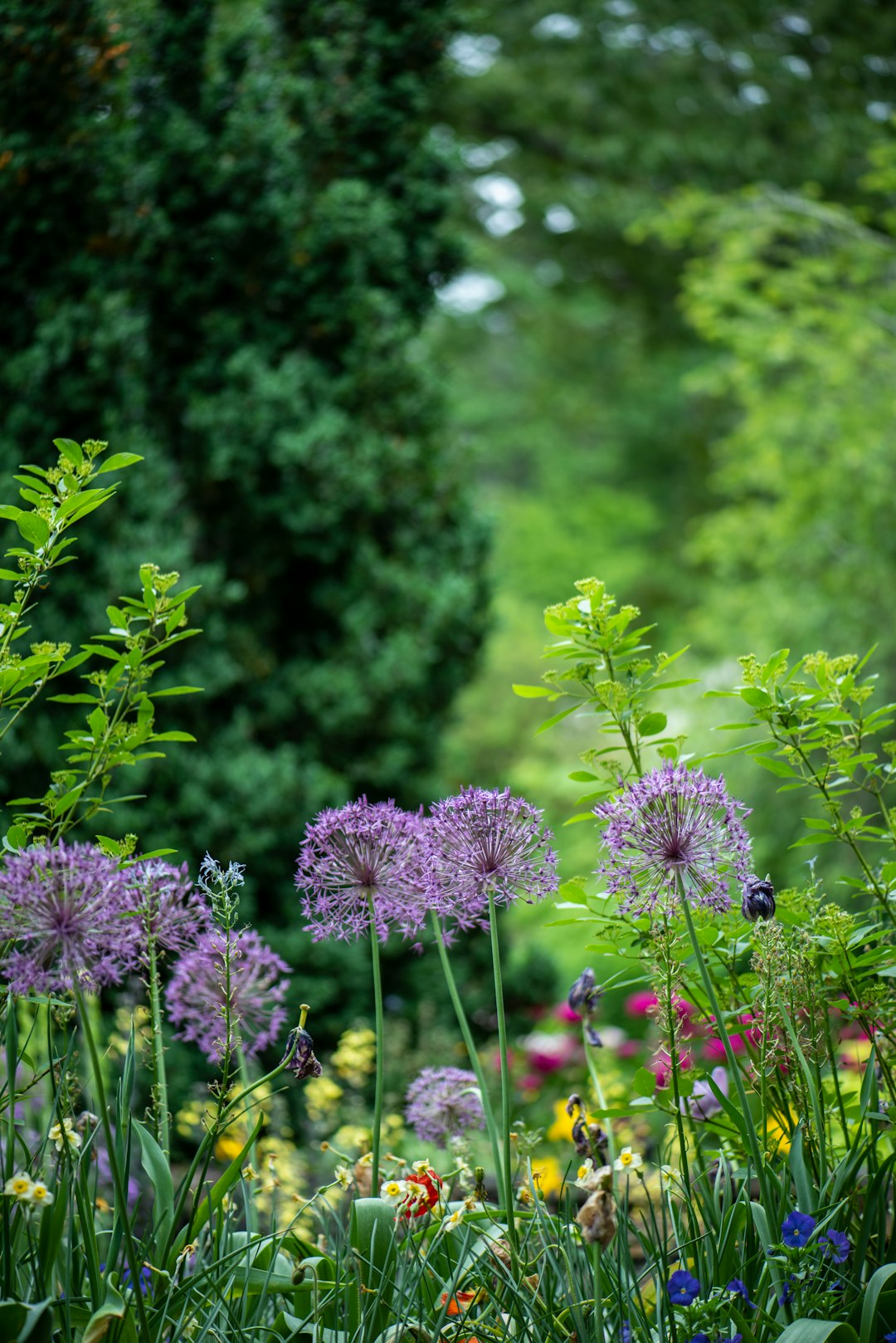 The Role of Biodiversity (image credits: unsplash)