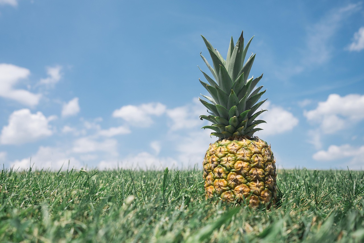Pineapple (image credits: pixabay)