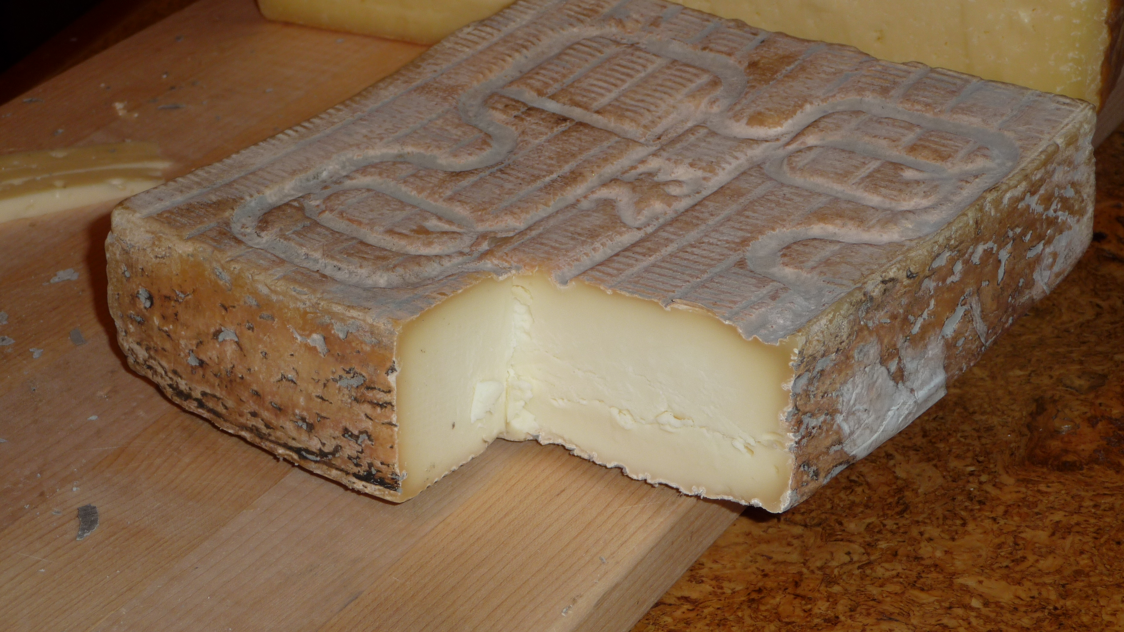 Taleggio: Italy’s Aromatic Treasure (image credits: wikimedia)
