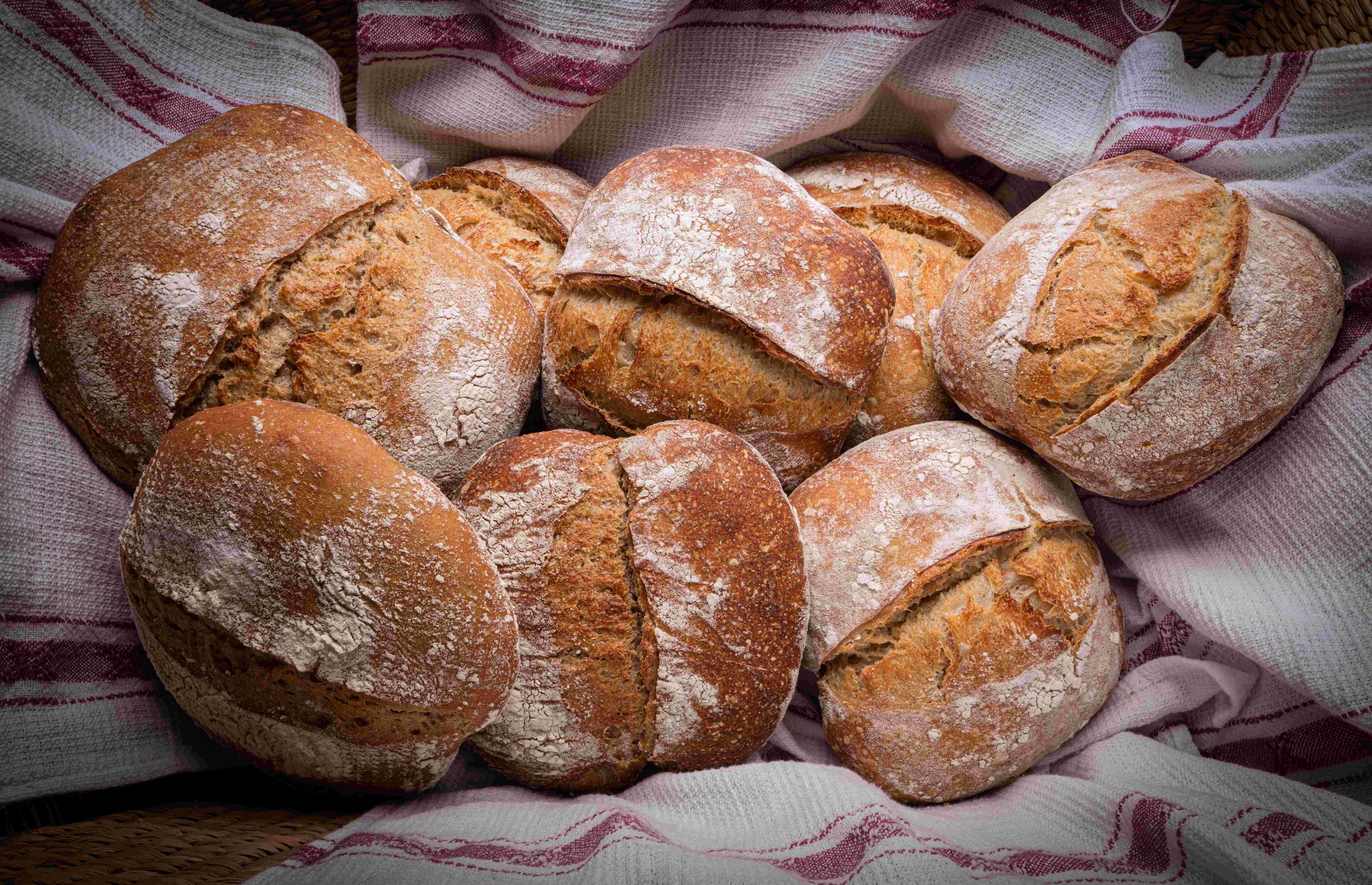 Sourdough’s Surprising Staying Power (image credits: wikimedia)