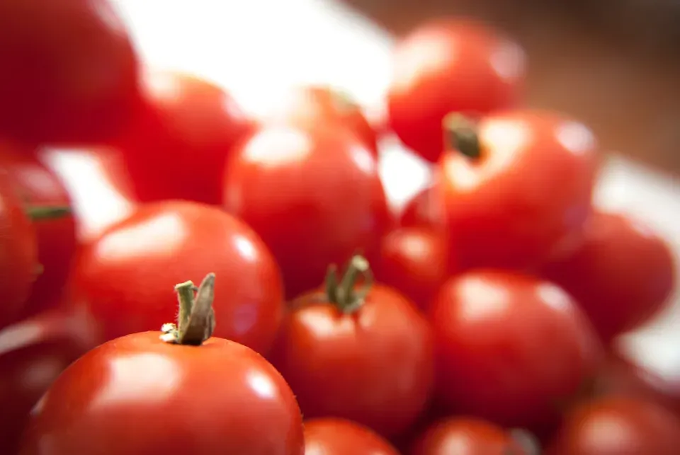 1. Tomatoes: The Most Blamed Nightshade (Image Credits: Stocksnap)