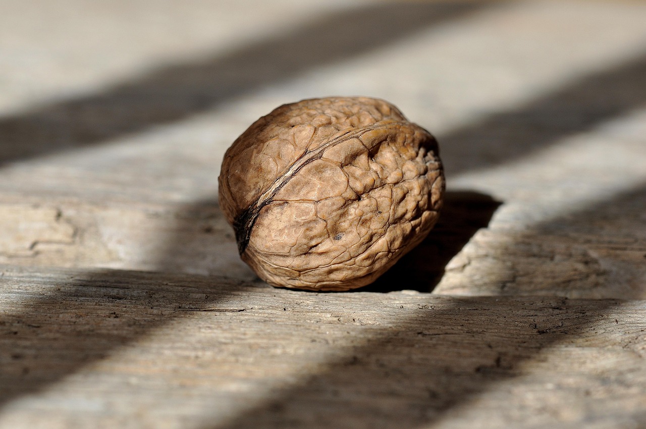 Nuts and Seeds: Crunchy Little Powerhouses (image credits: pixabay)