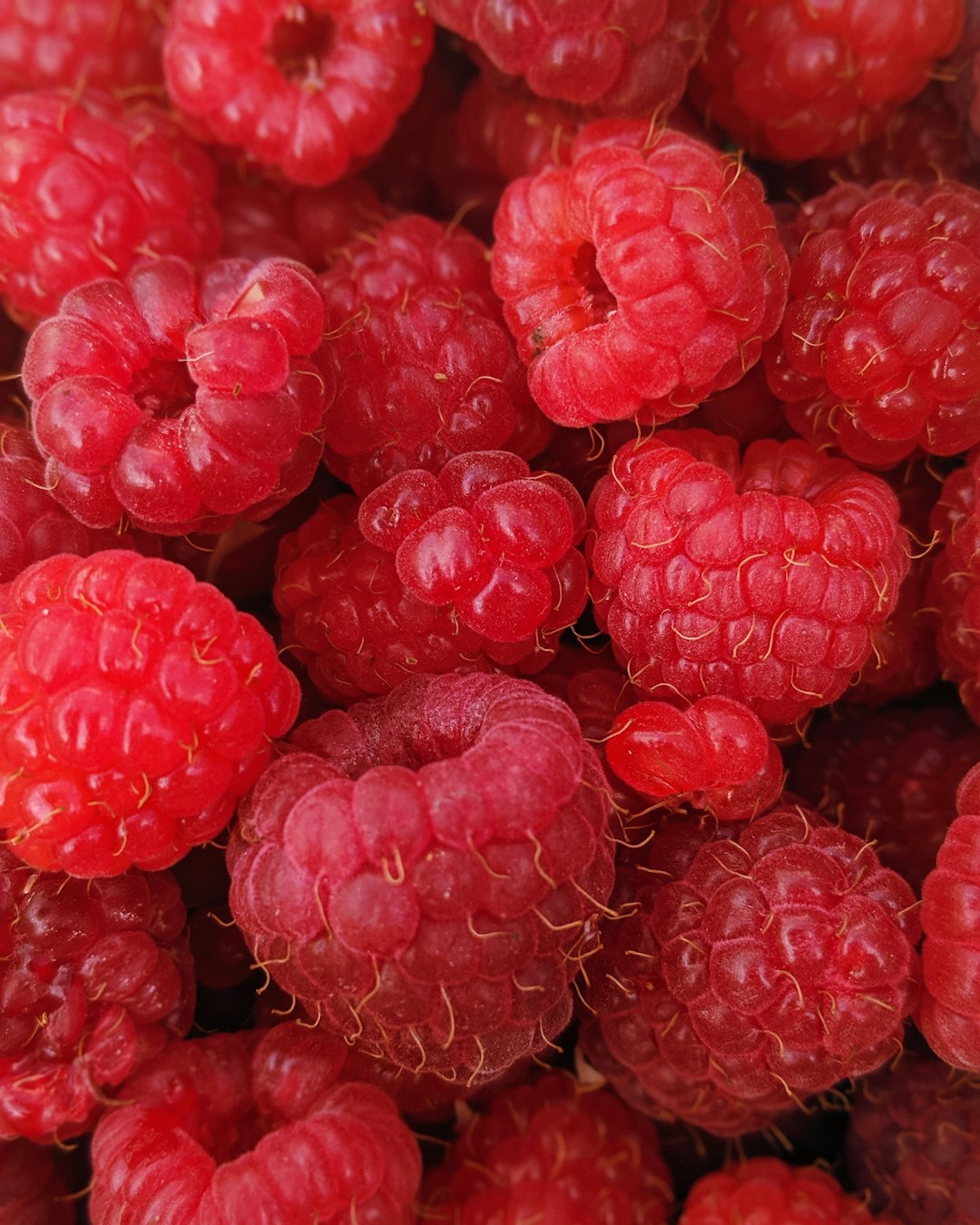 Raspberries: The Sweet Protectors (image credits: unsplash)