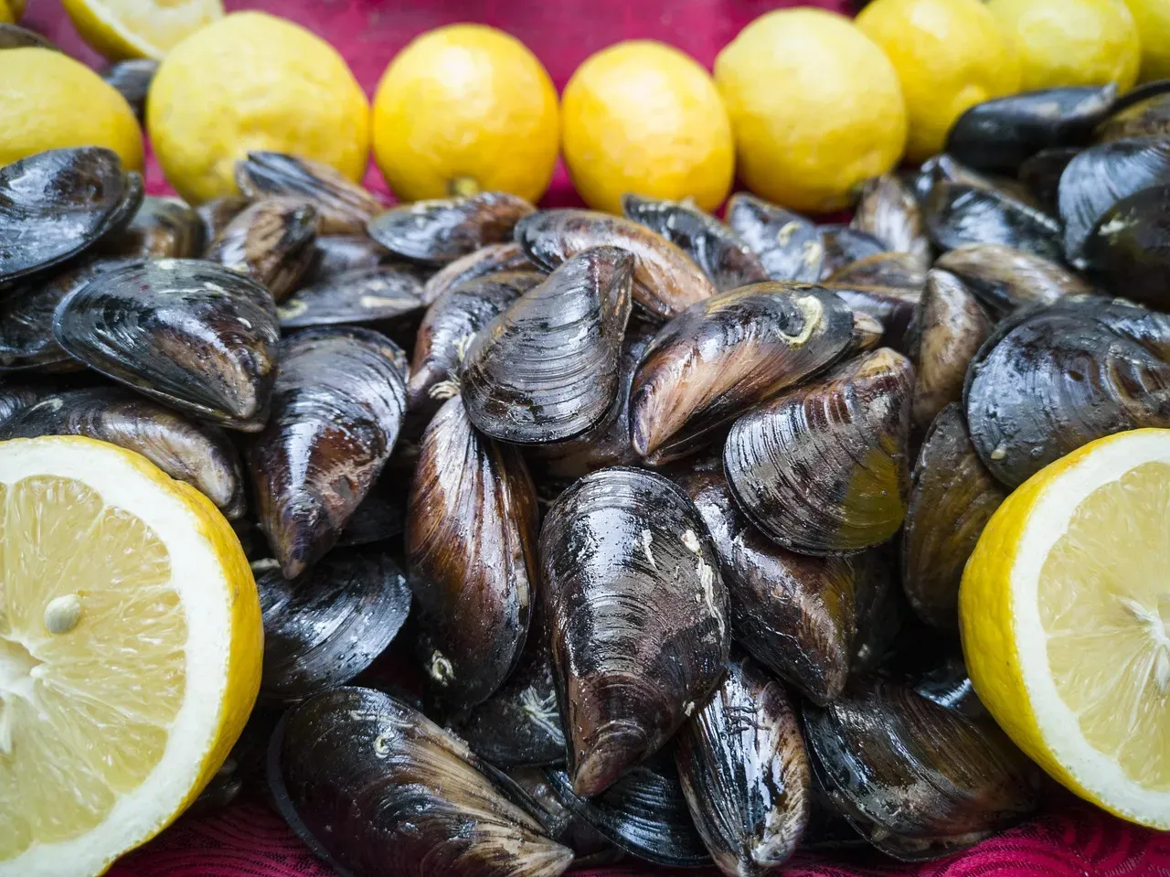 Mussels Marinière (Image Credits: Pixabay)
