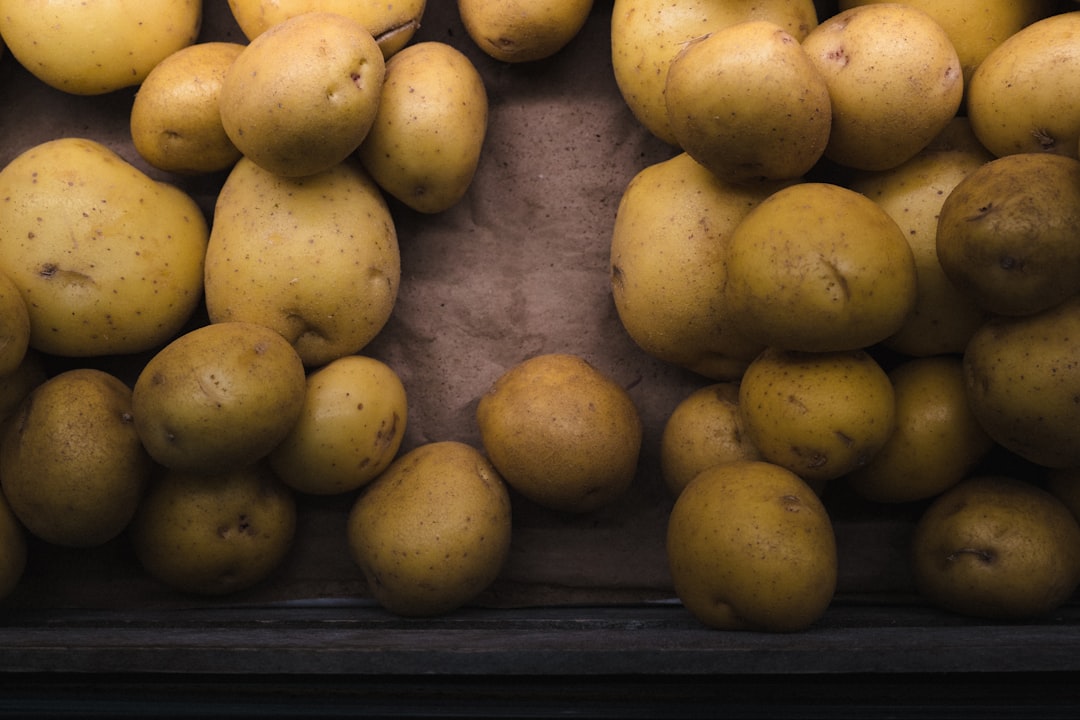 Professional Storage Insights You Can Use at Home (image credits: unsplash)