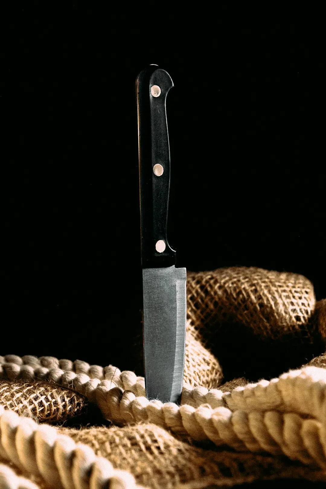 Sharp Knives Are Faster, and Safer (Image Credits: Unsplash)